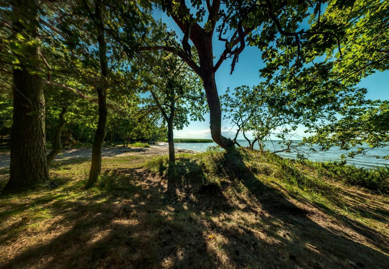 traumHaff Küstenchalets - einzigartige Chalets an der Ostsee. Ganz aus Lärchenholz mit Kamin und Sauna Vogelsang-Warsin Exterior foto